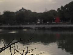 -八大山人梅湖景区
