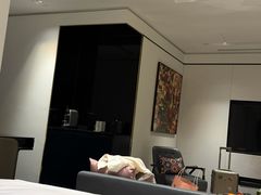 -尼依格罗香港美利酒店