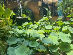 -园林美食城·本土农家菜(杨和镇店)