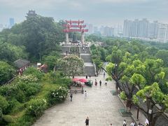 -黄鹤楼公园(黄鹤楼)