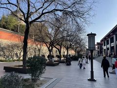 -大慈恩寺(大雁塔)