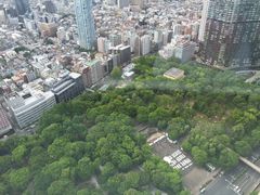 -东京都厅舍