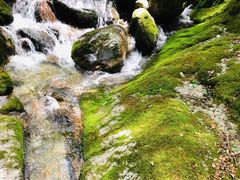 -牛背梁国家森林公园