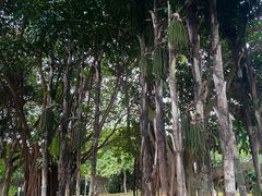 -深圳湾公园(南山区)