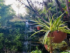 -凤来栖·净庭院·火锅(欧尚店)