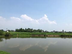-陶辛水韵