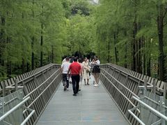 -福道