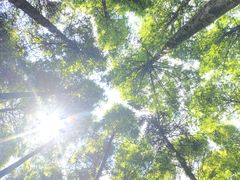 -山王坪喀斯特国家生态公园