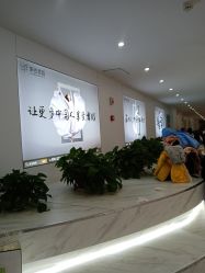 -单色舞蹈