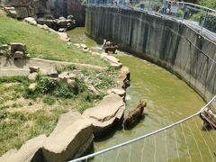 -无锡动物园·太湖欢乐园