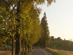 -良渚古城遗址公园