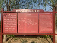 -阳台山自然风景区