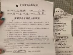 -美迦爱-牙专科·兔科·骨科诊疗中心(北苑店)