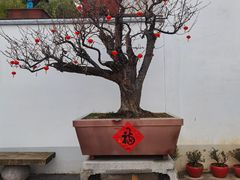 -龙华寺