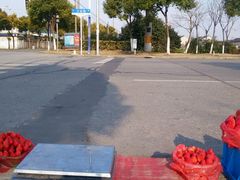 android_upload_pic-喜杨洋草莓采摘园