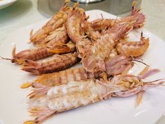 白灼濑尿虾-大东海海鲜酒楼(渔人码头总店)