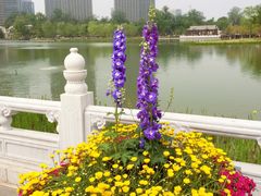 -西海子公园