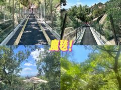 -嵖岈山风景区
