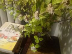 开了花的薄荷~~-蜗牛小馆醉乡民谣云南菜(惠新西里店)