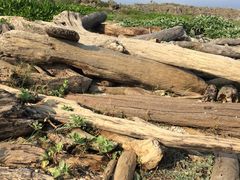 -龙坑生态保护区