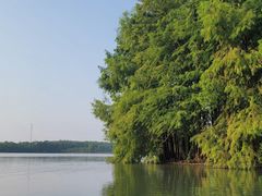 -上海海湾国家森林公园