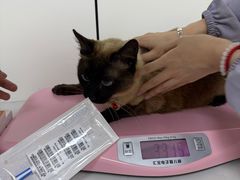 -贝康宠物医院·犬猫全科·小动物特色诊疗中心(东环路店)