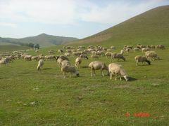 -塞罕坝国家级自然保护区