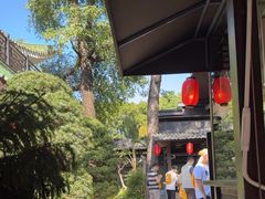 -侨美·唐荔园·40年地道粤菜