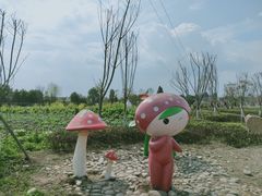 -夏河溪乡野公园
