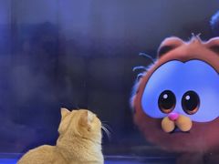 -Luchador摔跤手墨西哥餐厅(恒宇广场店)