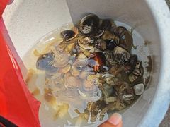 -红树林天天赶海