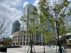 -外高桥保税区南(地铁站)