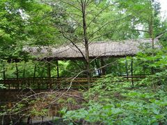 -藏龙百瀑风景区