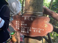 -海南槟榔谷黎苗文化旅游区