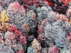 -罗红摄影艺术馆