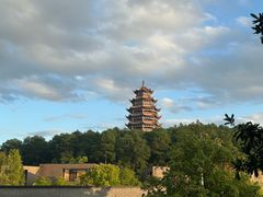 -铁山坪森林公园