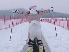 -长白山华美胜地滑雪场