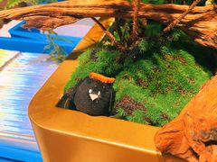 -交通银行前滩31演艺中心