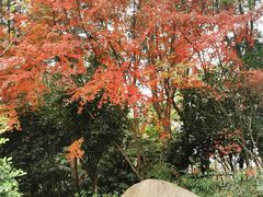 -杭州城北体育公园