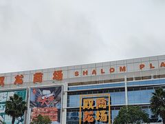 -双龙商场(环城南路店)