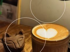-No Cat 手碟