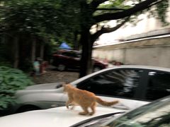 -罗妈砂锅(四川成都奎星楼店)