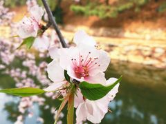 -颐和园