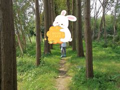 -前小桔亲子创意农场·草莓采摘·露营烧烤