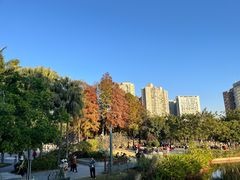 -四海公园(南山区)