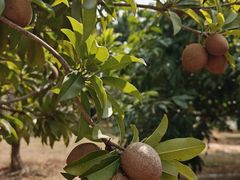 -中国移动南方基地