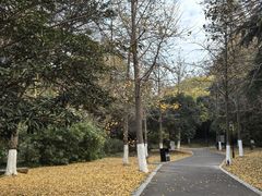-南山风景名胜区