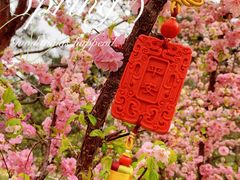 -大兴滨河森林公园