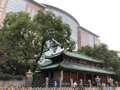 -北京协和医院(东单院区)