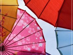 -野鸭湖国家湿地公园